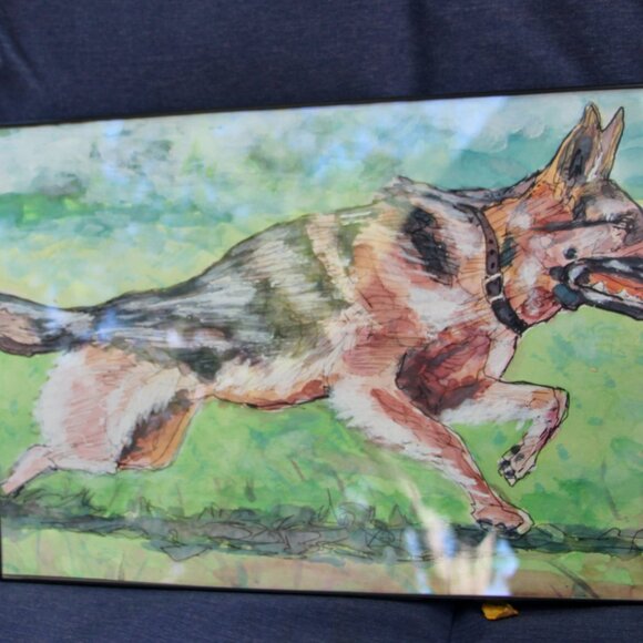 Watercolor and sketch of German Shepard - Picture 2 of 5